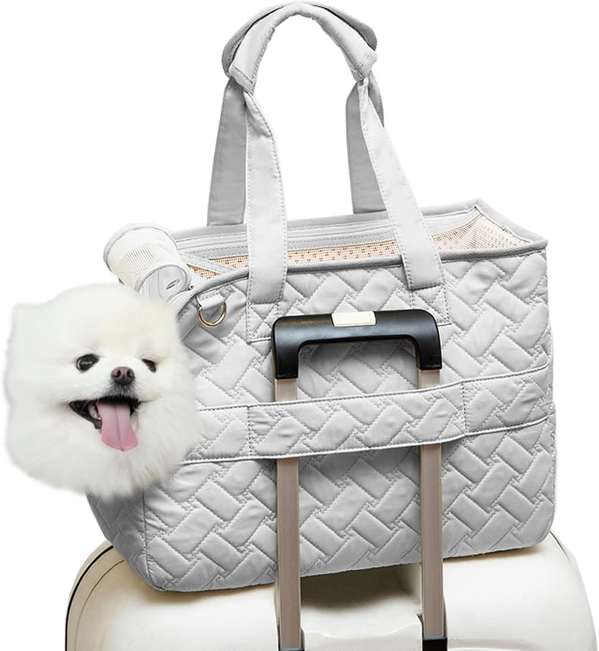 Breathable Pet Carrier Bag