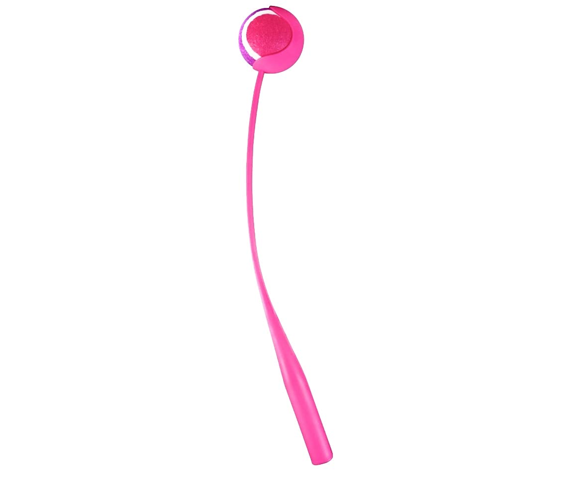 Automatic Dog Ball Launcher