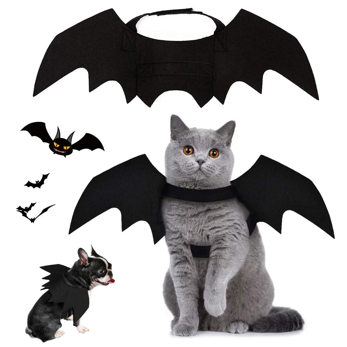 Bat Wings Pet Costume