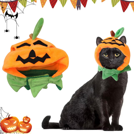 Pumpkin Pet Hat