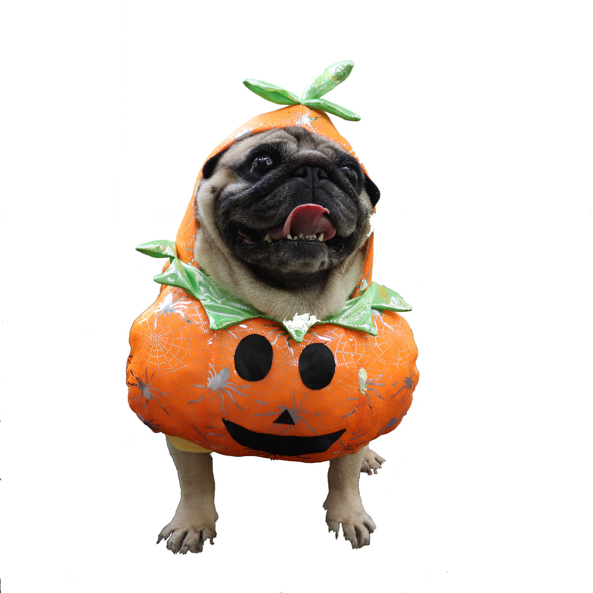 Stand-Up Pumpkin Dog Costume