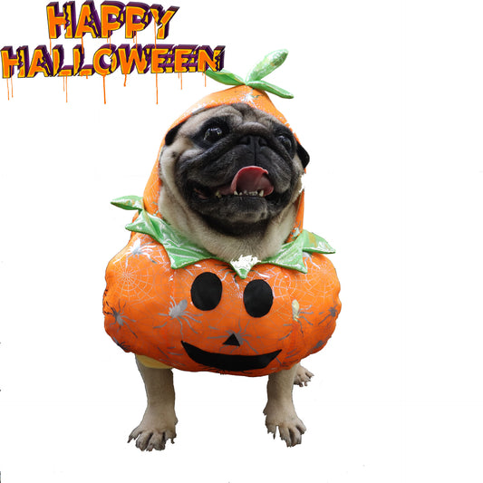 Stand-Up Pumpkin Dog Costume